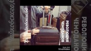Как выбрать чемодан Импреза коричневая