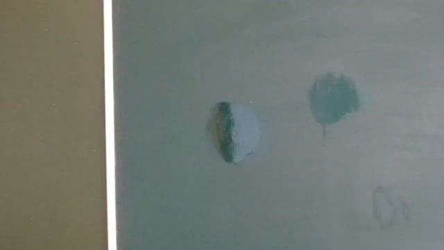 ДЭ 8. Зависимость скорости испарения от рода жидкости. смотреть онлайн