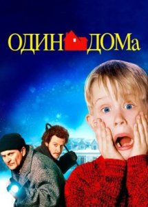 Один дома 1 (фильм, 1990)