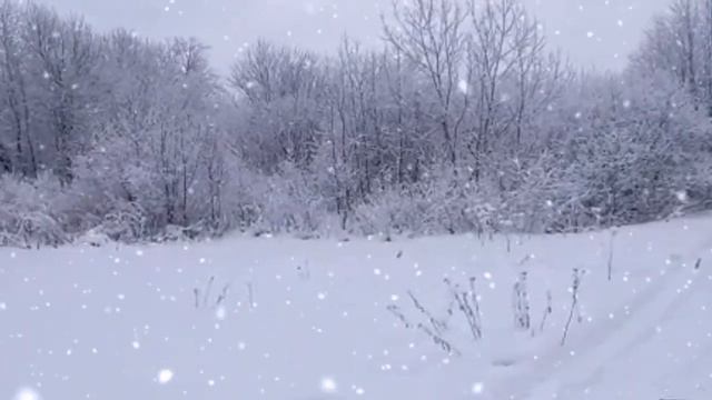 ВОСХИТИТЕЛЬНО... Метель (Романс) - Георгий Свиридов... смотреть онлайн