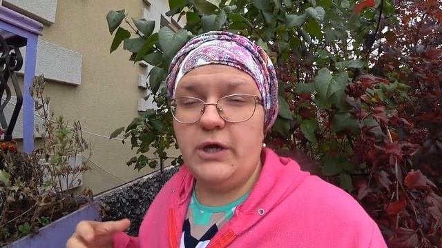 Как собрать семена петунии?