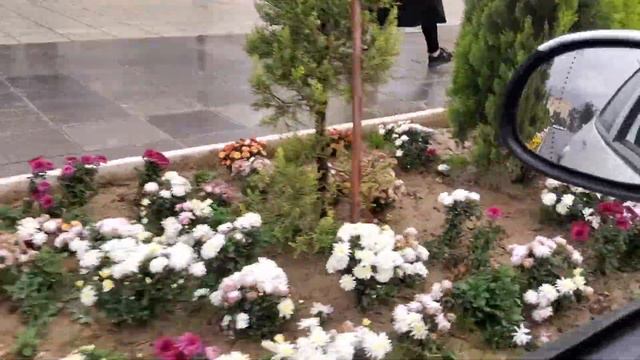 Shiraz Hafez