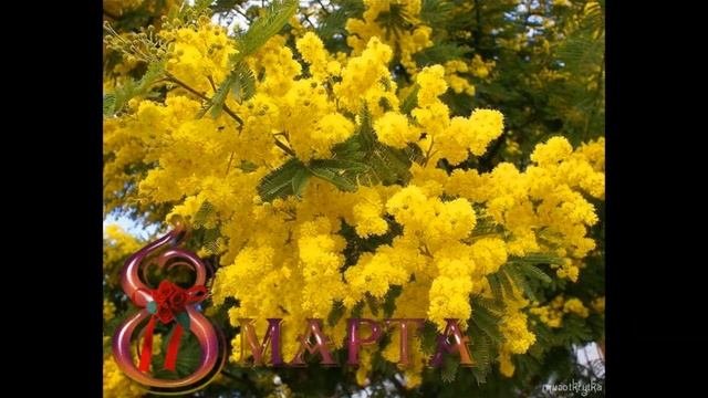 С весенним днем 8 Марта!