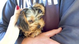 ?МЫ В ВОСТОРГЕ ⭐МУЗЕЙ ИЛЛЮЗИЙ ?ЖИЗНЬ В ПОЛЬШЕ ?muzeum iluzji