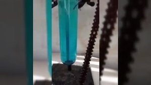 Получение порошка меди/взаимодействие железа с сульфатом меди 2//Химия TV