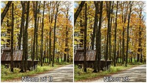 Nikon z6 II Vs Nikon z6 Camera Test
