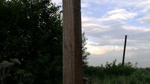 Замыкание на землю ЛЭП 10 кВ.mp4