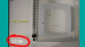 #КЛОПАНИ #ИССИКЛИК #БИЛАН #УЛДИРИШ,KLAPANI YO'QOTISH USULLARI