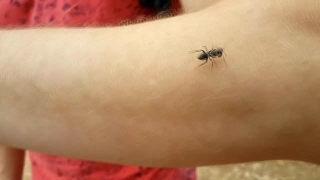 Путешествие на лодке на остров напротив Канн смотреть онлайн