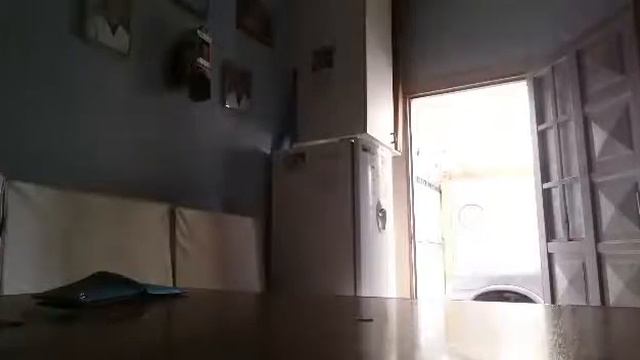 Aciendo trucos con botella villetes monedas y tarjeta día 6 смотреть онлайн