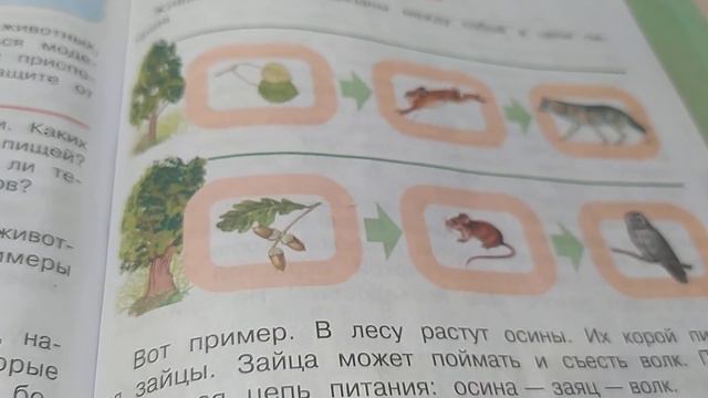 Окружающий мир 3класс. Урок 2.Тема урока Кто что ест? И Кто как приспособлен. смотреть онлайн