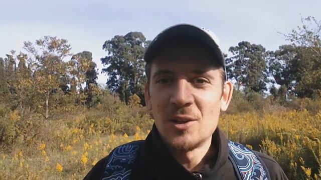 НОВЫЕ ПРЕДСКАЗАНИЯ СИМПСОНОВ