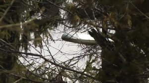 Старые уличные светильники в парке