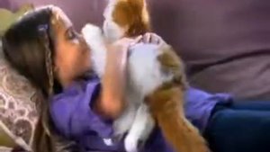 Интерактивная Кошка Лулу Fur Real