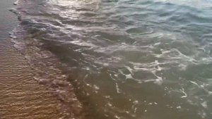 LA MER BEACH DUBAI | ЛУЧШИЕ ОБЩЕСТВЕННЫЕ ПЛЯЖИ ДУБАЯ ОБЗОР