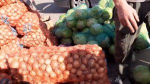 осенняя овощная ярмарка Беларусь. ярмарка в Добруше #ярмаркабеларусь #овощнаяярмарка