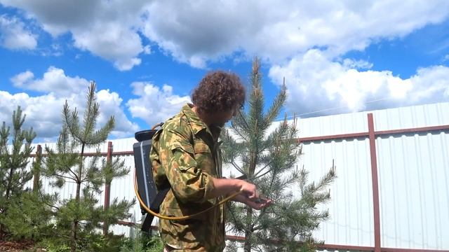 Фунгициды опрыскивание. Опрыскиватель ранцевый косяки. Caiman 12 M. Бордоская жидкость обработка.