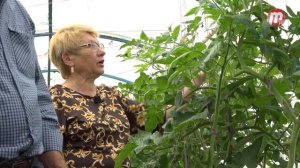 Во саду ли, в огороде (выпуск от 02.09.2022)