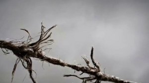 Не исчезай.mp4