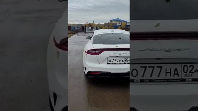 Отзыв клиента из Башкортостана - Дмитрия, на KIA STINGER 2.2d AWD