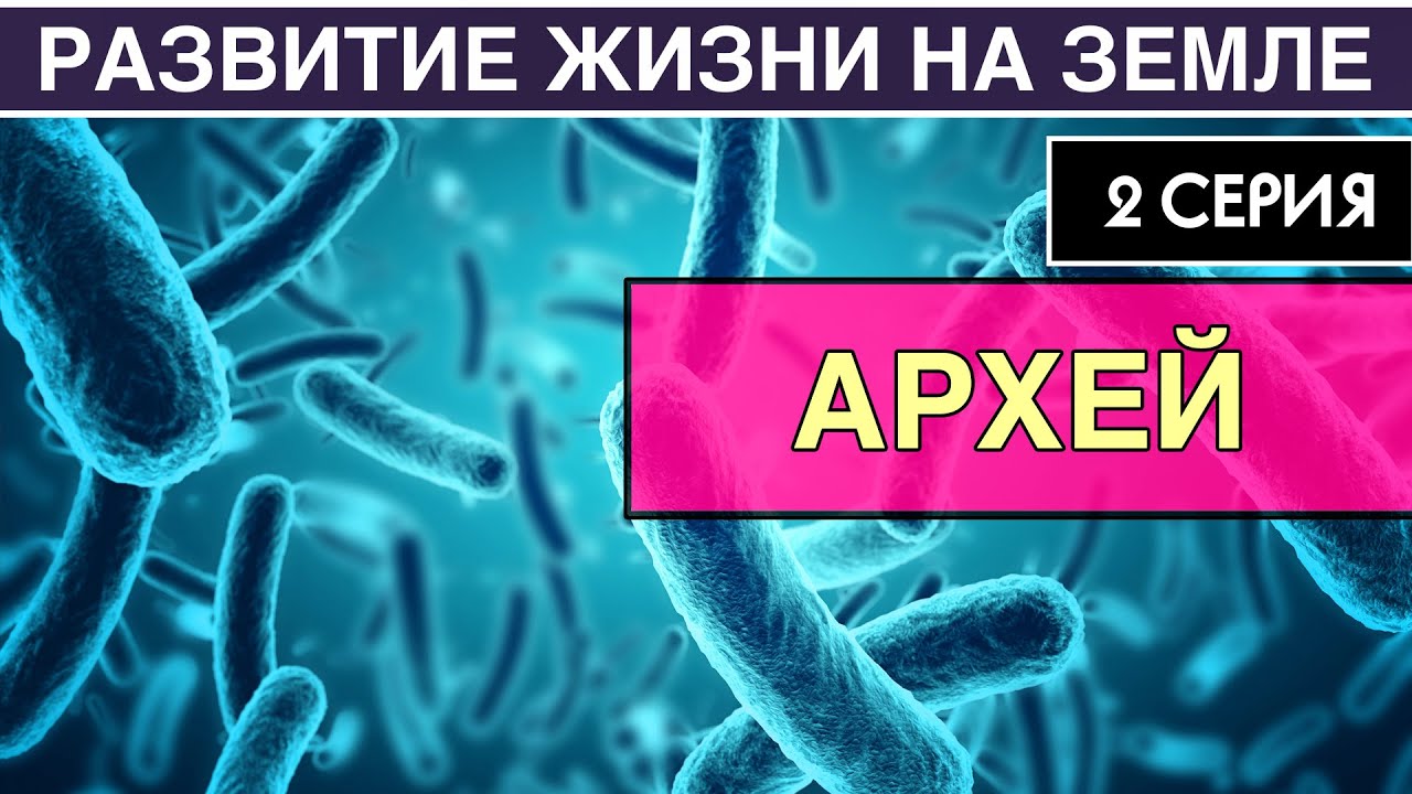 АРХЕЙ. Развитие жизни на Земле. 2 серия | Как появилась жизнь на Земле [NEW]