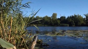 Рыбалка в Херсонской области 14.07.2022