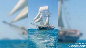 Лето.солнце,  море, пляж!!!  /Елка  /