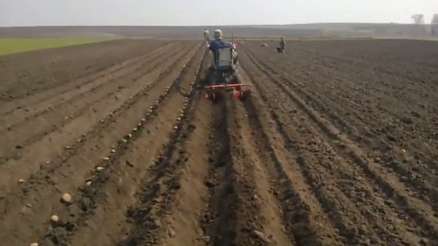 Нарезка гребней мотоблоком. 20042013021