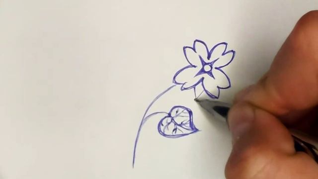 Как нарисовать красивый цветок. Идеи для скетчбука. Рисунки ручкой.