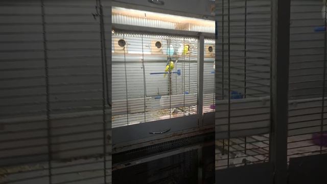 25 января 2024 г. смотреть онлайн