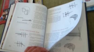 Лидия Мудрагель: Куклы из фарфора и папье-маше. Изготовление, коллекционирование, реставрация