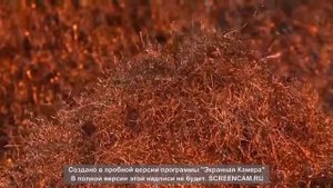 Производство резиновой крошки из автомобильных шин