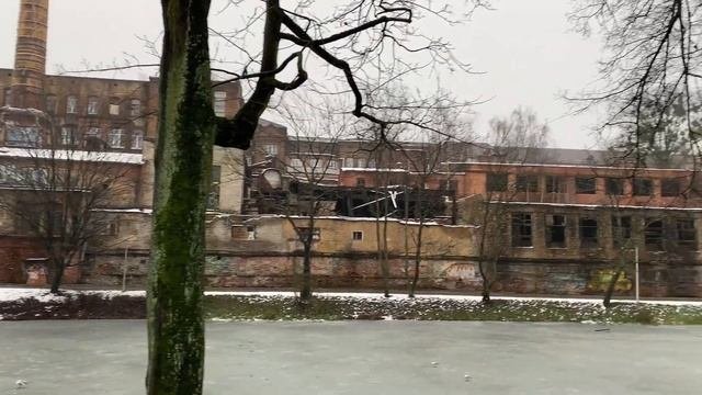 Переезд в Калининград / Знакомство с городом