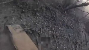Добро пожаловать в АД! Украинское прикрепление прибывает на передовую в американском железном гробу