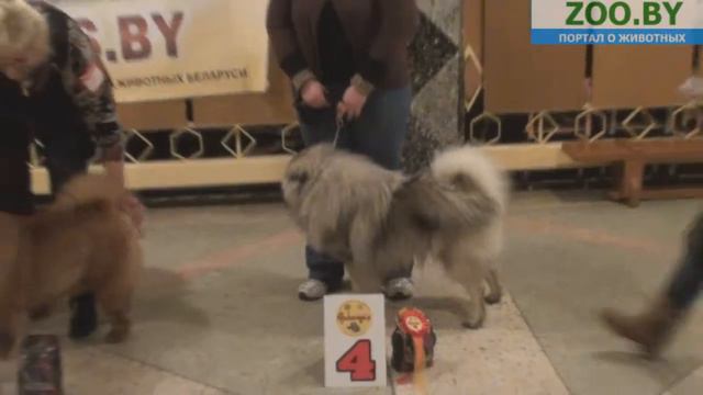 FCI-5 смотреть онлайн