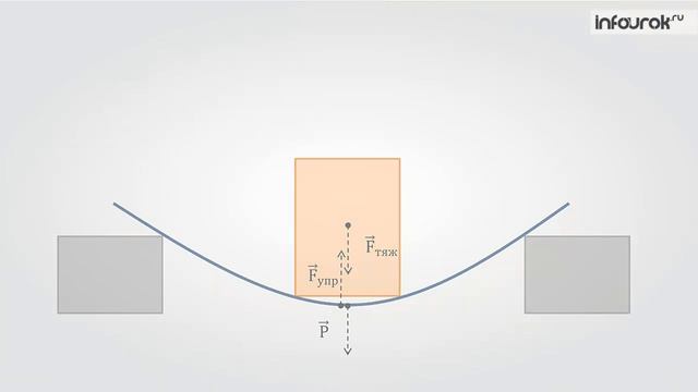 ФИЗ7Единицы силы  Связь между силой тяжести и массой тела