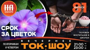 НА ЗАКАТЕ. ВЫПУСК 81. ВЕЧЕРНЕЕ ТОК-ШОУ