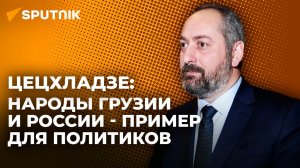Цецхладзе: отсутствие дипотношений мешает развитию сотрудничества Грузии и России