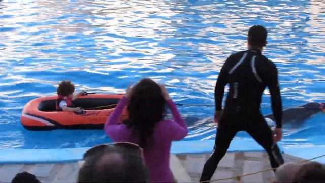Дельфин и мальчик. Дельфинарий  Dolphina Park Шарм-Эль-Шейх 2024