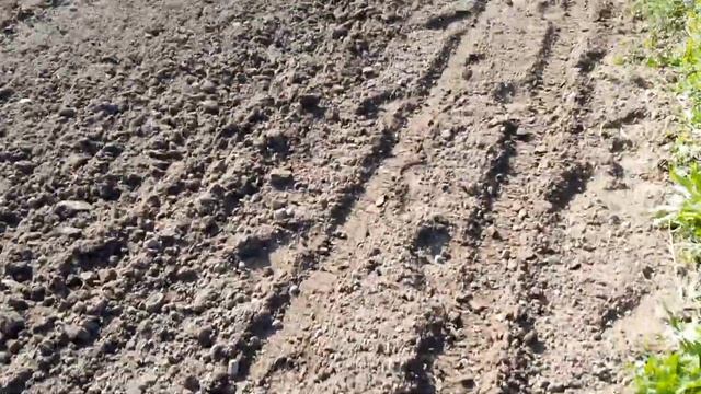 Сеем чеснок-воздушку смотреть онлайн