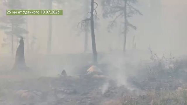 Пожар локализован. Благодарим мужественных и смелых пожарных и добровольцев!