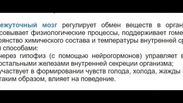 Лёгкий способ запомнить функции промежуточного мозга + продолговатый мозг, бонус. Теория и практика смотреть онлайн