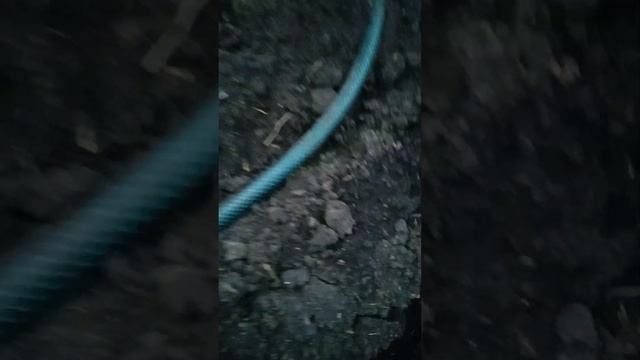 посадка огурца в теплице смотреть онлайн