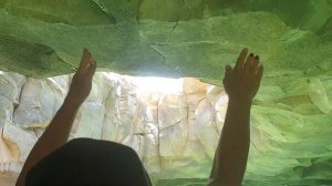 Китай.Хайнань. Аквапарк Атлантис.Санья.China..Aquapark Atlantis.Sanya.