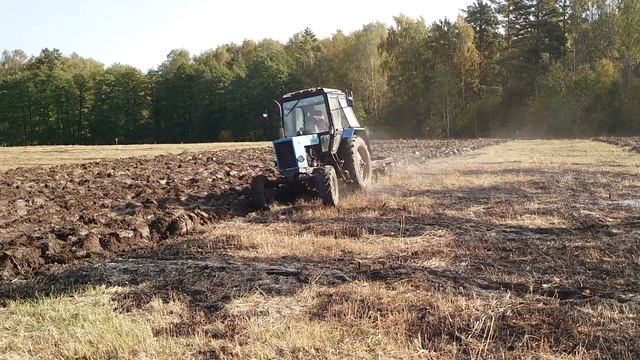 Вспашка земли трактором МТЗ 82.1 на поле общей площадью 12 га. смотреть онлайн