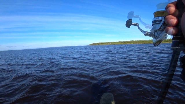 Окунь на поролоновые приманки смотреть онлайн