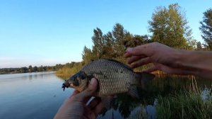 Круглые КАРАСИ гнут ультралайт в дугу. НАНОДЖИГ рулит! Ловля карася СПИННИНГОМ