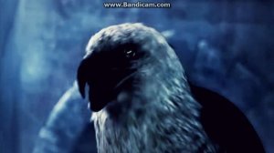 Песня про Асасина крида (просто эпик)