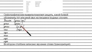 Упражнение №24 — Гдз по русскому языку 5 класс (Ладыженская) 2019 часть 1