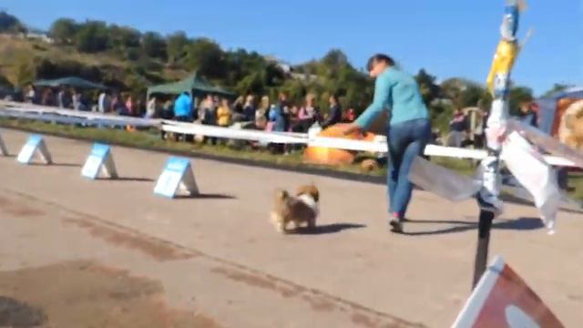 Бебики Моно ши-тцу 29.09.13 Севастополь смотреть онлайн